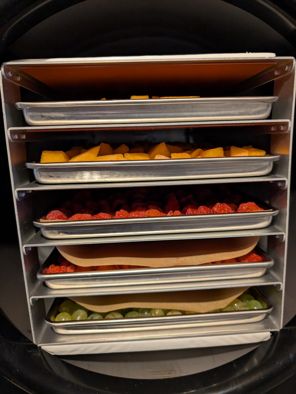 Maximize Your Freeze Dryer – Tips for Rental&nbsp;Success